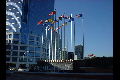 Convention Center Flags